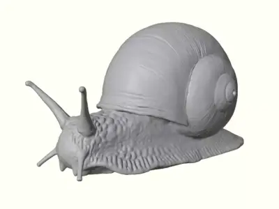 Woodland Garden Snail 3D print model