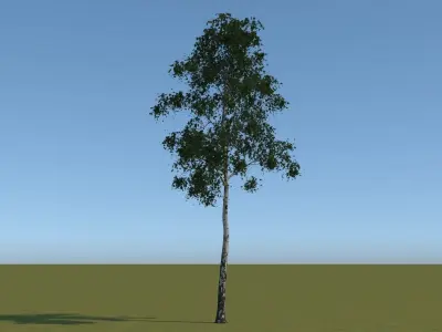 18 Trees Free low-poly 3D model