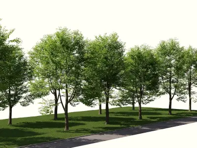 Landscape toolkit street 3D model