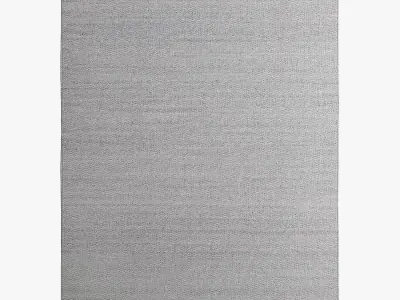 Restoration Hardware Rugs 99 3D model
