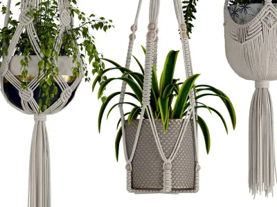 macrame plant hanger 3D model