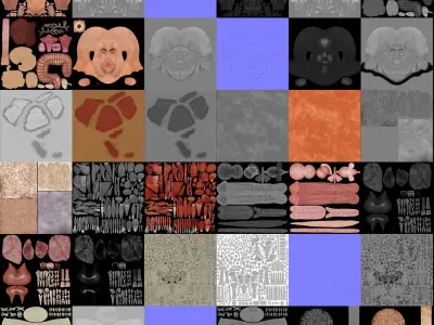  Human Male Complete Anatomy 