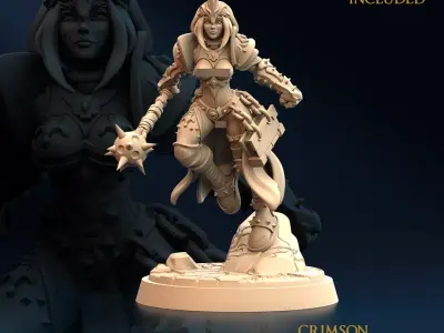 Daughters of the Crimsom Blade - Crusader 3D print model