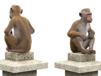  Brown Macaque Sitting on Stone Lantern Fur for Cinema 4D 
