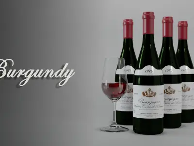 Burgundy red wine bottle with glass 3D model