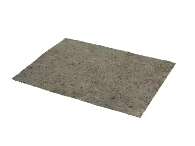 Grass piece of paper Texture