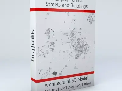 Nanjing Streets and Buildings 3D model