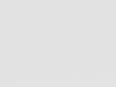 DRON S166 with adult camera GPS drone with 4K triple camera Low-poly 3D model