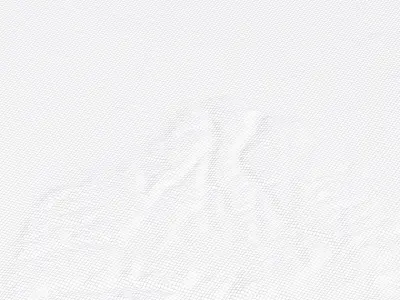 Tijuana Mexico City Landscape 3D Model 3D model