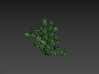 Low Poly Cactus Stylish Low-poly 3D model