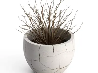 Dried Bush Plant in Cracked Pot Low-poly 3D model
