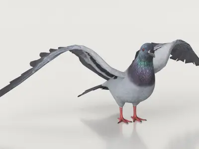  Low Poly Pigeon Flying Animated Rigged For Maya 