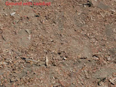 Ground with sawdust 3D model