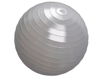 Yoga Ball gray 3D model