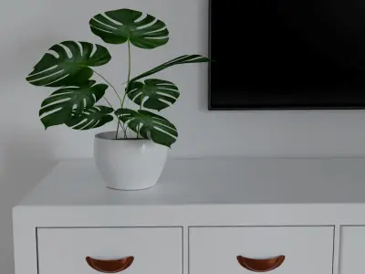 BEDROOM 1 dresser with plant and tv 3D model