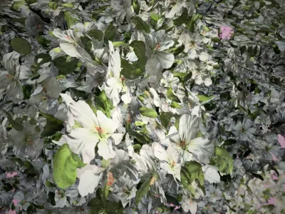 Apple Flowers Tree Low-poly 3D model