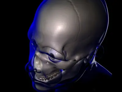 X-Ray Male Face Unrigged 3D model