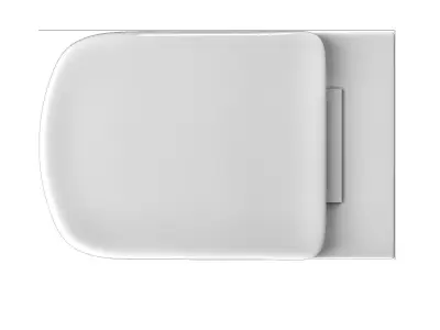 Floor Mount EWC toilet  3D model