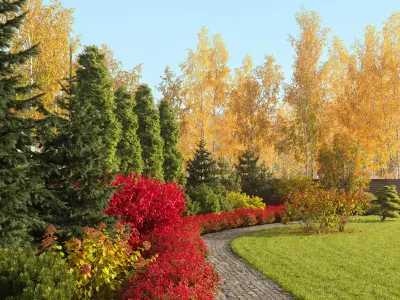 Plants Collection 2 3D model