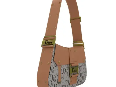 Dior Street Chic Bag Brown Black Print 3D model