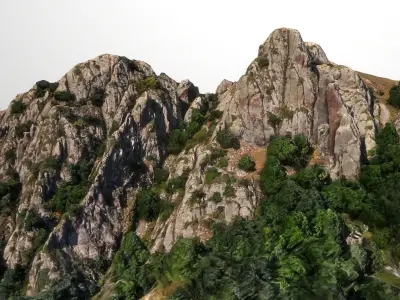 Landscape photoscaned 3d model 3D model