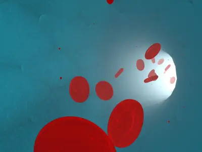 Red Blood cells in a vessel blood stream 3D model