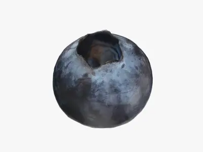  Blueberry - Photo Scan 