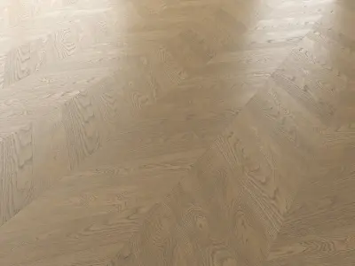 Wood Floor Set 17 Texture