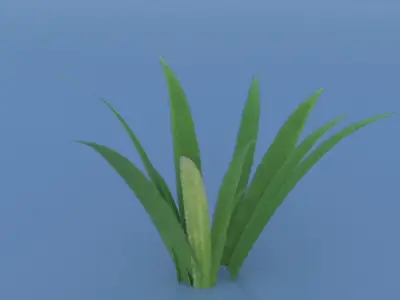 Stylized Grass Pack 01 Low-poly 3D model