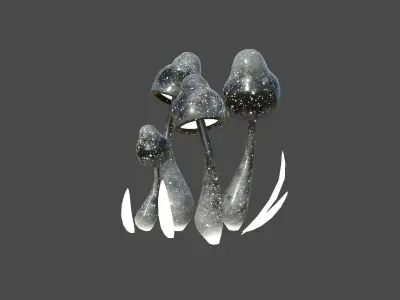 Fantasy Mushroom D10 Black - Scene Backdrop Design Low-poly 3D model