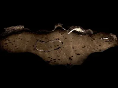 Cave Long Low-poly 3D model