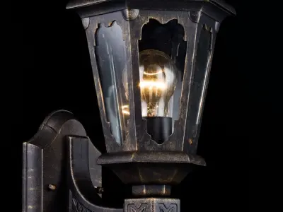 Wall Lamp Oxford S101-42-11-R Maytoni Outdoor Free 3D model