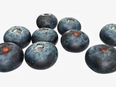  3D Photogrammetry Food Bundle 06 