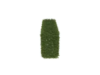A standing clump of grass 3D model