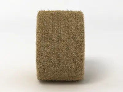 Hay Bale 2 3D model