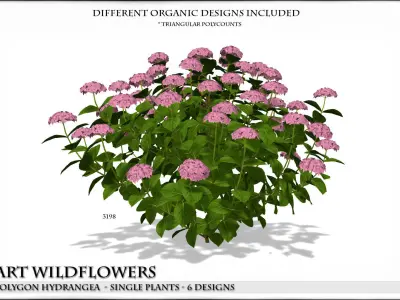 Low Polygon Hydrangeas for Games and Architectural Vis Low-poly 3D model