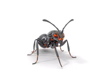 Futuristic Black Ant model pack Low-poly 3D model