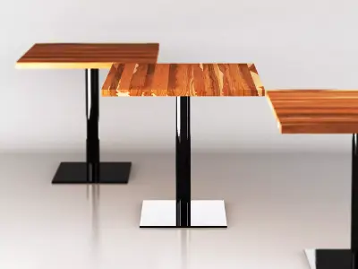 Base Club 3D model