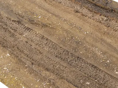 16K Dry Dirt Road material N12 - 16 meters 3D model