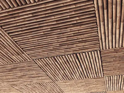 Decor of bamboo collection 3D model