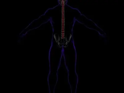 x-Ray Brain 3D model