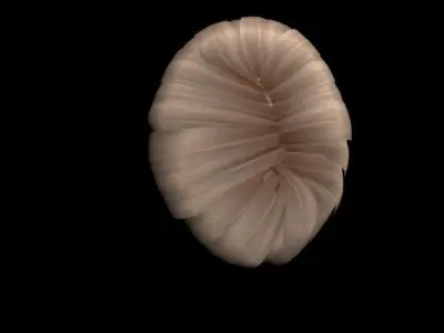 Haircut No 6 - Short Light Brown Hair for Woman 3D model