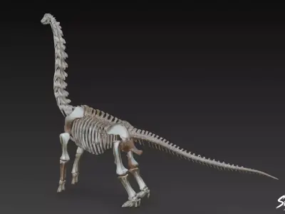 Brachiosaurus fossil   Low-poly 3D model