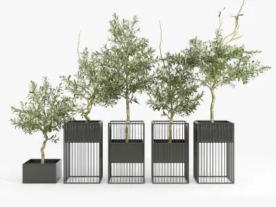 Kehlani Plant Stand Olea 3D model
