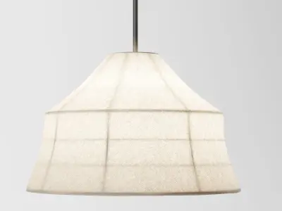 Pinch Soren Pendant Light 3D model