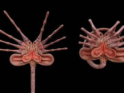 Facehugger Pbr Low-poly 3D model