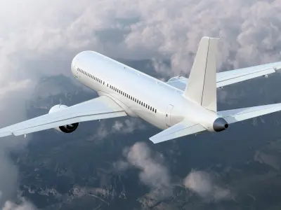  Narrow Body Airliner Flight 