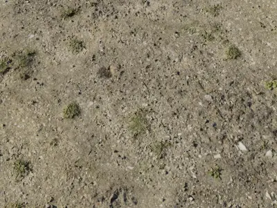 Dusty Hardpan With Sparse Weeds PBR Texture Texture