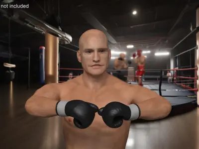  Male Boxer Figure Rigged 