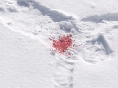 Trace of a human body in the snow 3D model